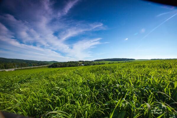 5dba810001ac8.jpg 3.jpg