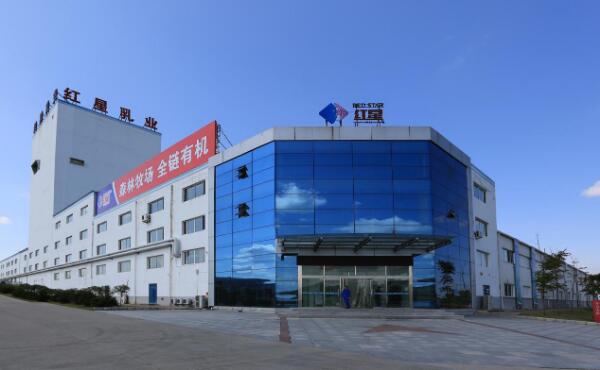 5dbd832f15802.jpg 10.jpg