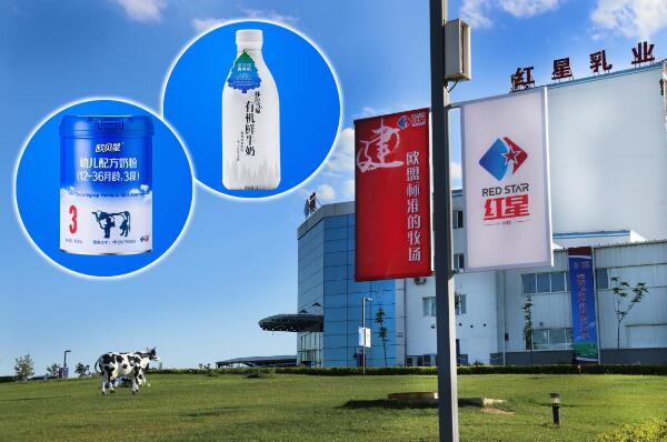 5dbd956d38738.jpg 2.jpg