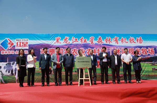 5dbd978141ba8.jpg 2.jpg